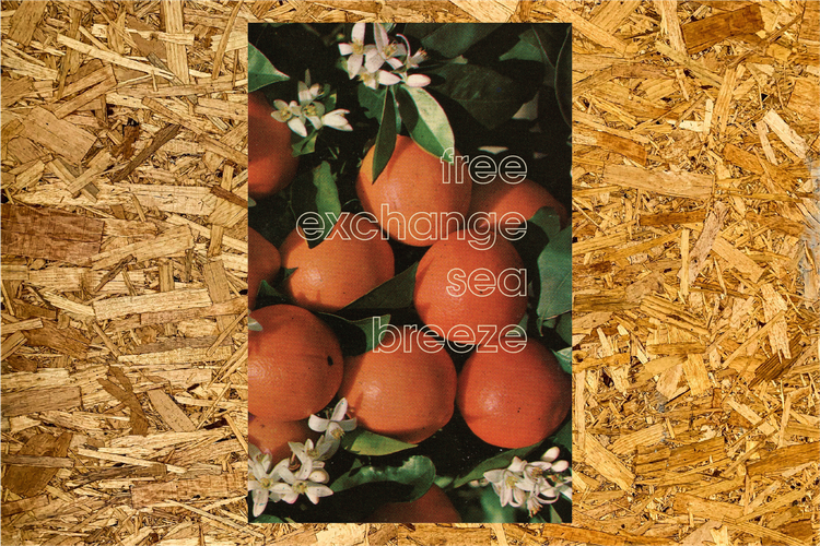 "Free Exchange/ Sea Breeze" in support of findhelp.org